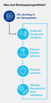 Rückkopplungseffekte