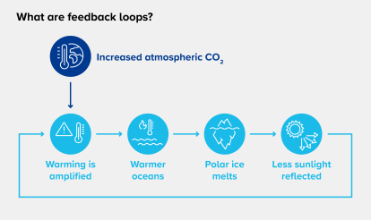 Feedback loops