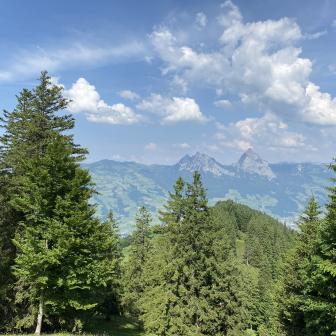 IMG_5848.jpeg