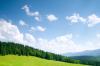 Wald_Wiese_Himmel_73048651.jpg