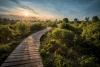 Pfad_Natur_Sonne_297921926_0.jpg
