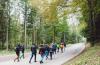 wald3.jpg