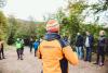 wald4.jpg