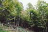 wald_test.jpg