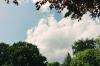 20160915-igor-trepeshchenok-barnimages-01-740x490%402x.jpeg