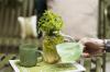 revolution-tea-green-tea_0.jpg