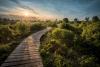 shutterstock_297921926%20%281%29_0.jpg