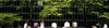 scott-rodgerson-4NMed34r5Ok-unsplash.png