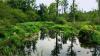 1698_afforestation_dusseldorf_german%20%282%29_1.jpg