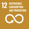 SDG 12 verantwoorde consumptie en productie