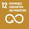 SDG 12 responsible consumption and production