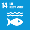 SDG 14: leven in het water