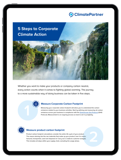 5 steps to corporate climate action