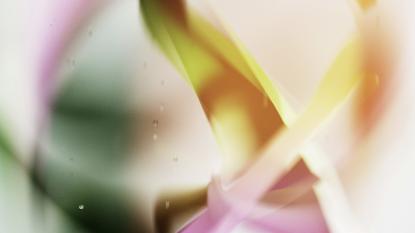 abstract image