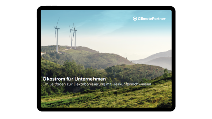 renewable electricity guide