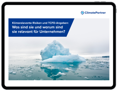 eBook: klimarelevante Risiken und TCFD-Angaben