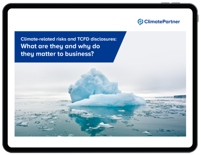 Climate-related risks eBook ipad