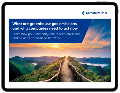 What are greenhouse gas emissions and why companies need to act now