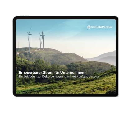 Leitfaden: Dekarbonisierung mit Herkunftsnachweisen Guide Renewable electricity for businesses