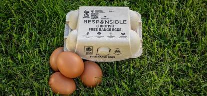 eggs with box on grass