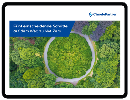 5 Schritte auf dem Weg zu Net Zero eBook