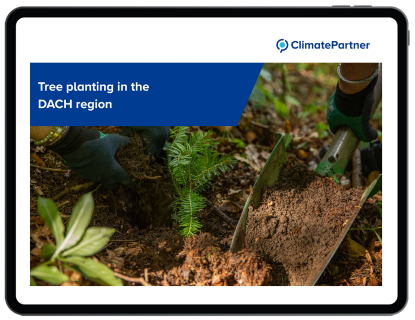 Tablet image of fact sheet tree planting 