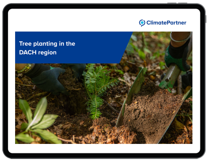 Tablet image of fact sheet tree planting