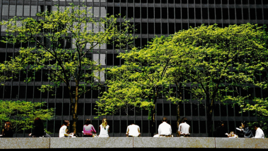 people sitting in front of trees in front of an office