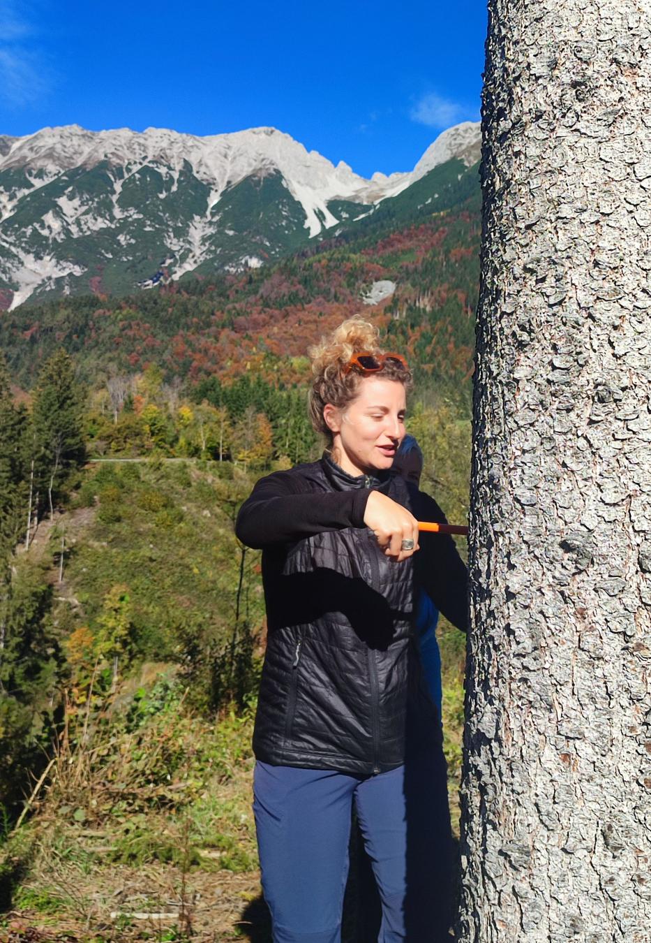 Frau misst einen Baumstamm in der Natur